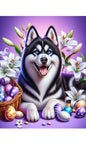 Siberian Husky Black/White Blue/Eyes - Best of Breed DCR Easter Holiday    Outdoor House and Garden Flag