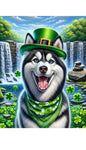 Siberian Husky Black/White Blue/Eyes - Best of Breed DCR Saint Patricks Day Day Outdoor House and Garden Flag