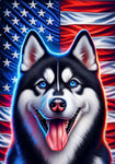 Siberian Husky Black/White Blue/Eyes - Best of Breed DCR Patriotic III   Outdoor House and Garden Flag