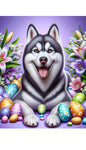 Siberian Husky Grey - Best of Breed DCR Easter Holiday    Outdoor House and Garden Flag