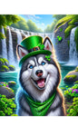 Siberian Husky Grey Blue/Eyes - Best of Breed DCR Saint Patricks Day Day Outdoor House and Garden Flag