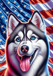 Siberian Husky Grey - Best of Breed DCR Patriotic III   Outdoor House and Garden Flag