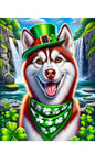 Siberian Husky Red - Best of Breed DCR Saint Patricks Day Day Outdoor House and Garden Flag