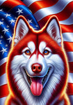 Siberian Husky Red Blue/Eyes - Best of Breed DCR Patriotic III   Outdoor House and Garden Flag