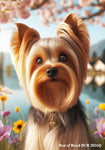 Silky Terrier -  Best of Breed DCR Spring House and Garden Flag