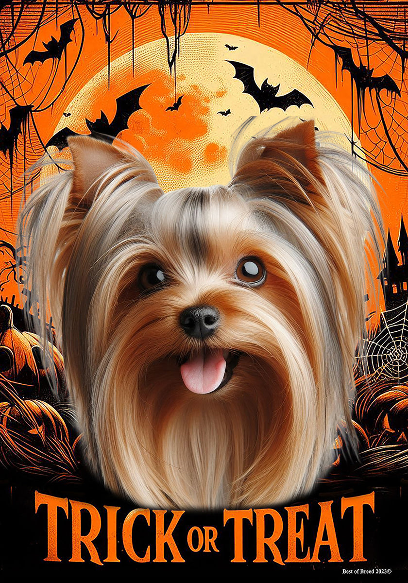 Silky Terrier Silver/Tan - Best of Breed Halloween Outdoor House and G