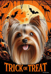 Silky Terrier Silver/Tan - Best of Breed  Halloween Outdoor House and Garden Flag