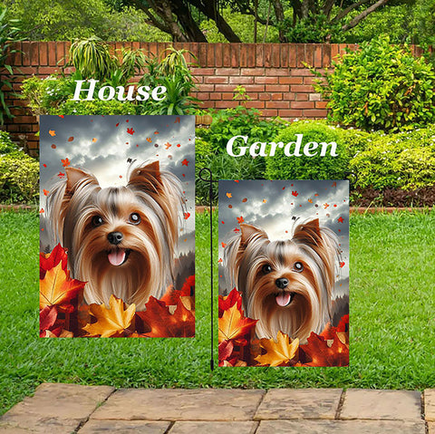 Silky Terrier Silver/Tan - Best of Breed  Fall Leaves Outdoor House and Garden Flag