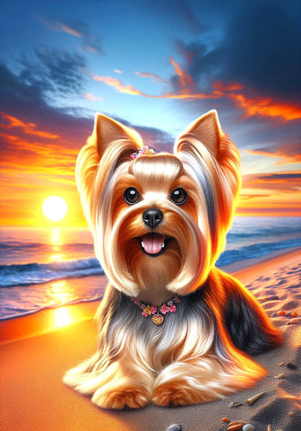 Silky Terrier - Best of Breed DCR Summer Sunset Outdoor House and Garden Flag