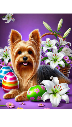 Silky Terrier - Best of Breed DCR Easter Holiday    Outdoor House and Garden Flag