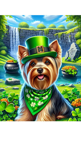 Silky Terrier - Best of Breed DCR Saint Patricks Day Day Outdoor House and Garden Flag