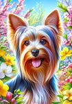 Silky Terrier - Best of Breed DCR Spring II    Outdoor House and Garden Flag