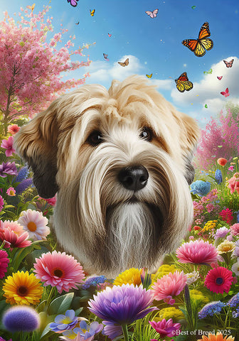 Soft Coated Wheaton Terrier - Best of Breed  Spring Butterflies Outdoor House and Garden Flag