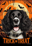 Springer Spaniel B/W - Best of Breed  Halloween Outdoor House and Garden Flag