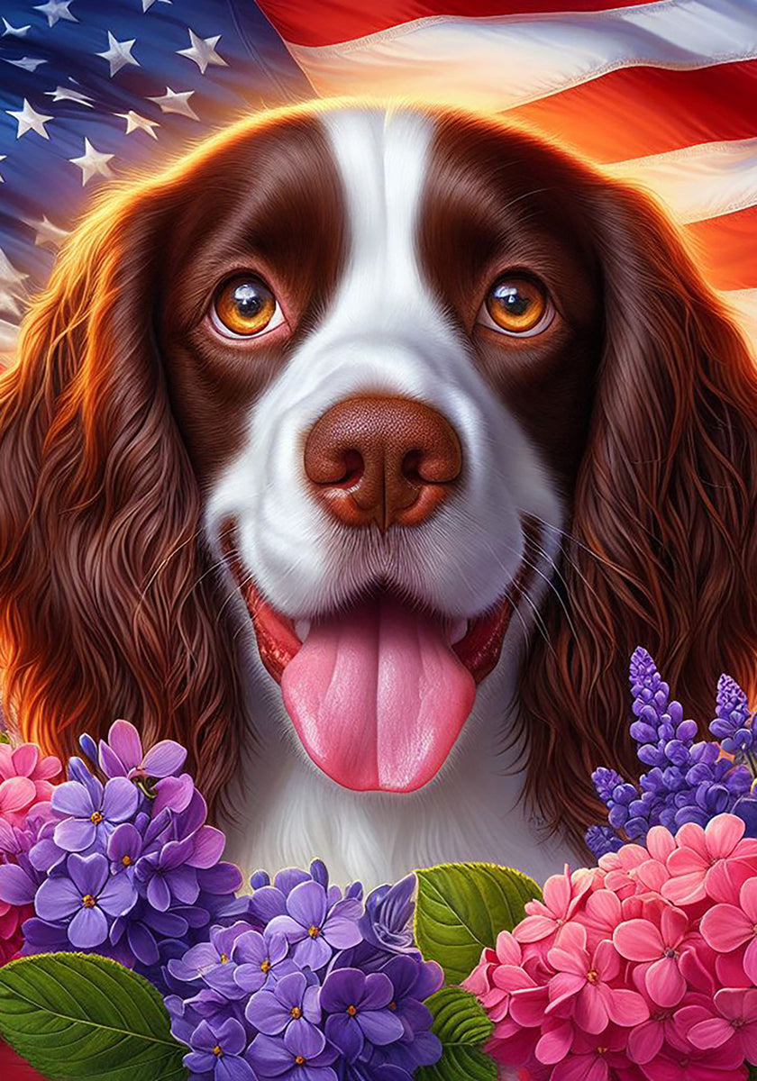 Springer Spaniel Liver White - Best of Breed DCR Patriotic I Outdoor F