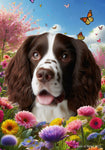 Springer Spaniel L/W - Best of Breed  Spring Butterflies Outdoor House and Garden Flag