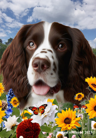 Springer Spaniel L/W - Best of Breed  Summer Fields Outdoor House and Garden Flag