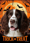 Springer Spaniel L/W - Best of Breed  Halloween Outdoor House and Garden Flag