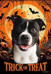 Staffordshire Bull Terrier Black/White - Best of Breed  Halloween Outdoor House and Garden Flag