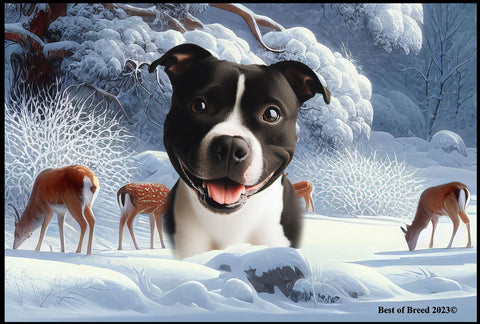 Staffordshire Bull Terrier Black/White - Best of Breed Winter Wonderland Floor Mat Tufted Loop 18" x 27"