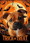 Staffordshire Bull Terrier Orange -  Best of Breed  Halloween Outdoor House and Garden Flag