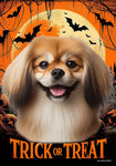 Tibetan Spaniel Fawn -  Best of Breed  Halloween Outdoor House and Garden Flag