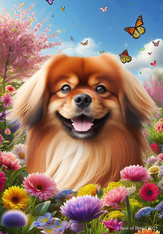 Tibetan Spaniel Red -  Best of Breed  Spring Butterflies Outdoor House and Garden Flag