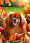 Tibetan Spaniel Red - Best of Breed DCR Thanksgiving Outdoor House and Garden Flag