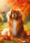 Tibetan Spaniel Red - Best of Breed DCR Falling Leaves Outdoor Flag