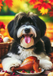 Tibetan Terrier Black/White - Best of Breed DCR Thanksgiving Outdoor House and Garden Flag