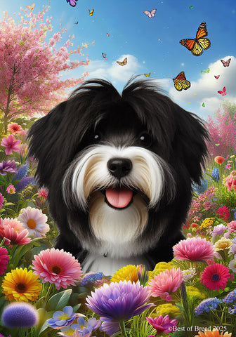 Tibetan Terrier Black/White -  Best of Breed  Spring Butterflies Outdoor House and Garden Flag