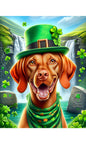 Vizsla - Best of Breed DCR Saint Patricks Day Day Outdoor House and Garden Flag