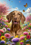 Vizsla - Best of Breed  Spring Butterflies Outdoor House and Garden Flag