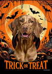 Vizsla - Best of Breed  Halloween Outdoor House and Garden Flag