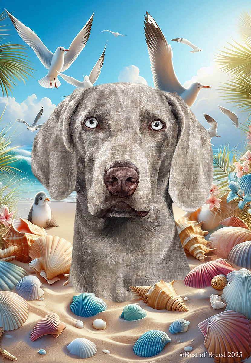 Caroline's Treasures CK6372CHF Weimaraner Country Dog Flag Canvas House Size, grande, multicolore : Caroline's Treasures