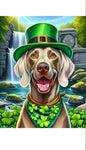 Weimaraner - Best of Breed DCR Saint Patricks Day Day Outdoor House and Garden Flag