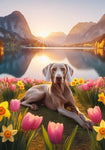 Weimaraner - Best of Breed DCR Spring Outdoor Flag