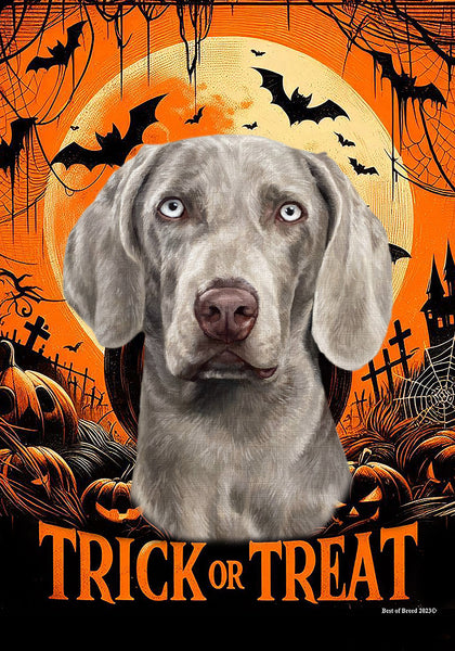 Weimaraner - Best of Breed  Halloween Outdoor House and Garden Flag