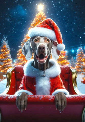 Weimaraner - Best of Breed DCR Christmas Outdoor House and Garden Flag