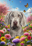 Weimaraner - Best of Breed  Spring Butterflies Outdoor House and Garden Flag