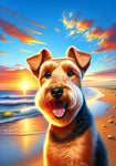 Welsh Terrier - Best of Breed DCR Summer Sunset Outdoor House and Garden Flag
