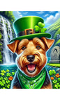 Welsh Terrier - Best of Breed DCR Saint Patricks Day Day Outdoor House and Garden Flag