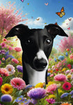 Whippet Black/White- Best of Breed  Spring Butterflies Outdoor House and Garden Flag