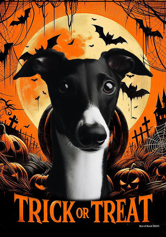 Whippet Black/White- Best of Breed  Halloween Outdoor House and Garden Flag