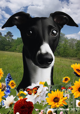 Whippet Black/White- Best of Breed  Summer Fields Outdoor House and Garden Flag