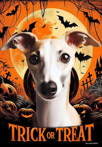 Whippet Fawn/White- Best of Breed  Halloween Outdoor House and Garden Flag