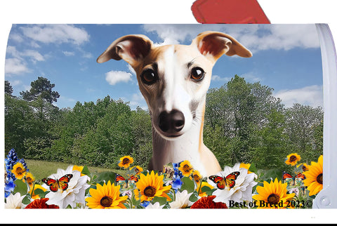 Whippet Fawn/White- Best of Breed Summer Flowers Mailbox Cover Hi-Grade Vinyl 6" x 19"