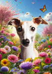 Whippet Fawn/White- Best of Breed  Spring Butterflies Outdoor House and Garden Flag