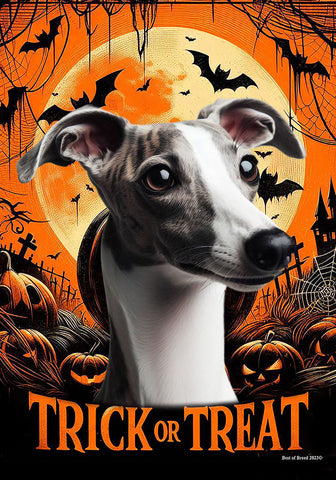 Whippet Grey/White- Best of Breed  Halloween Outdoor House and Garden Flag