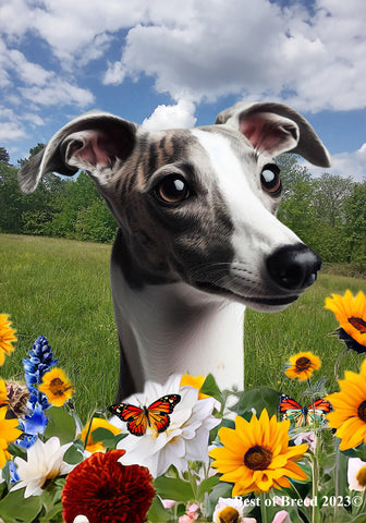 Whippet Grey/White- Best of Breed  Summer Fields Outdoor House and Garden Flag